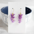 Wisteria: vibrant purple