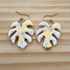 White & gold monstera