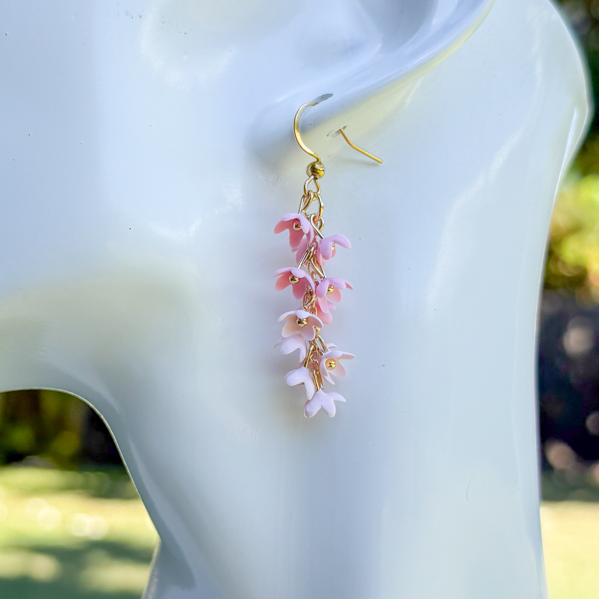 Wisteria: pink