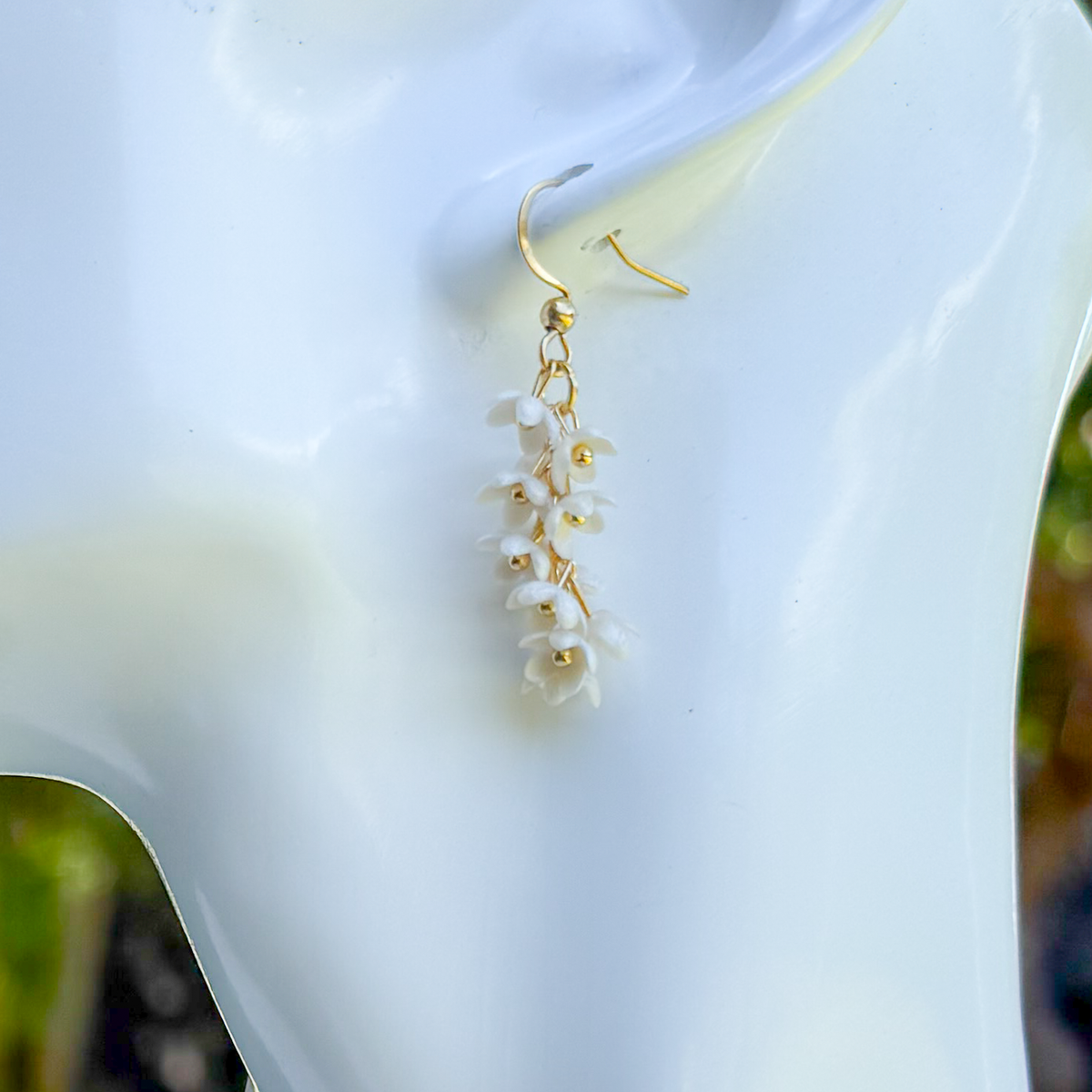 Wisteria: white
