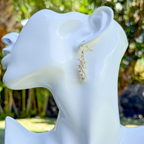 Wisteria: white