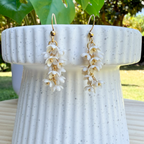 Wisteria: white