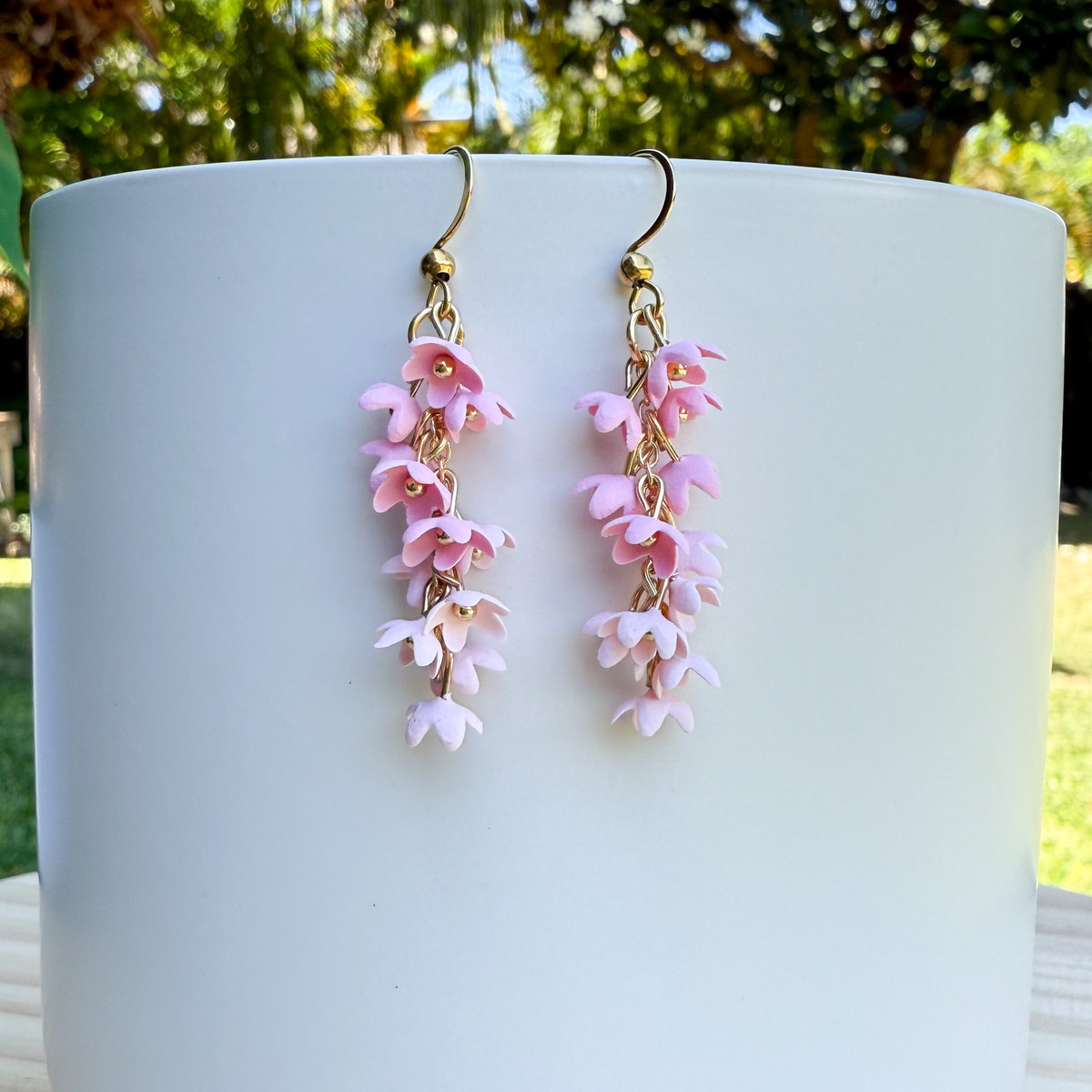 Wisteria: pink