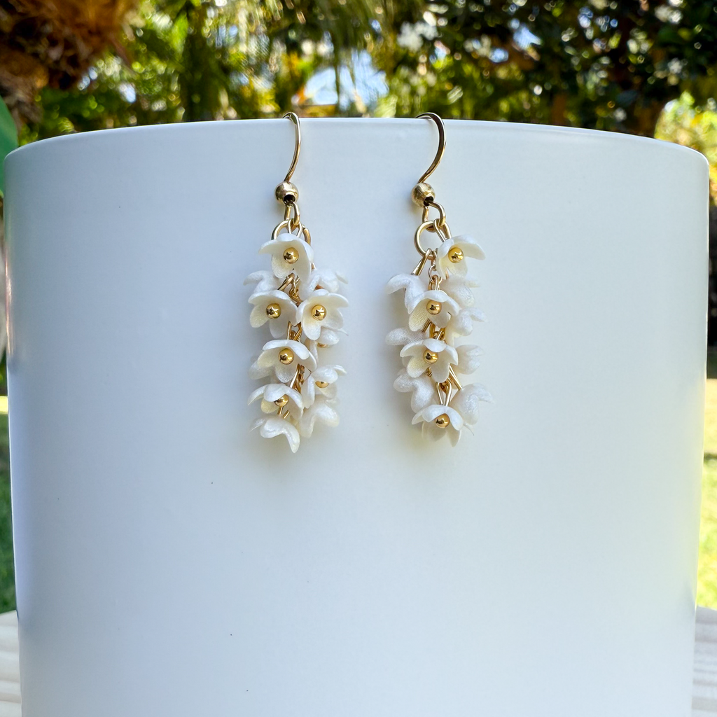 Wisteria: white